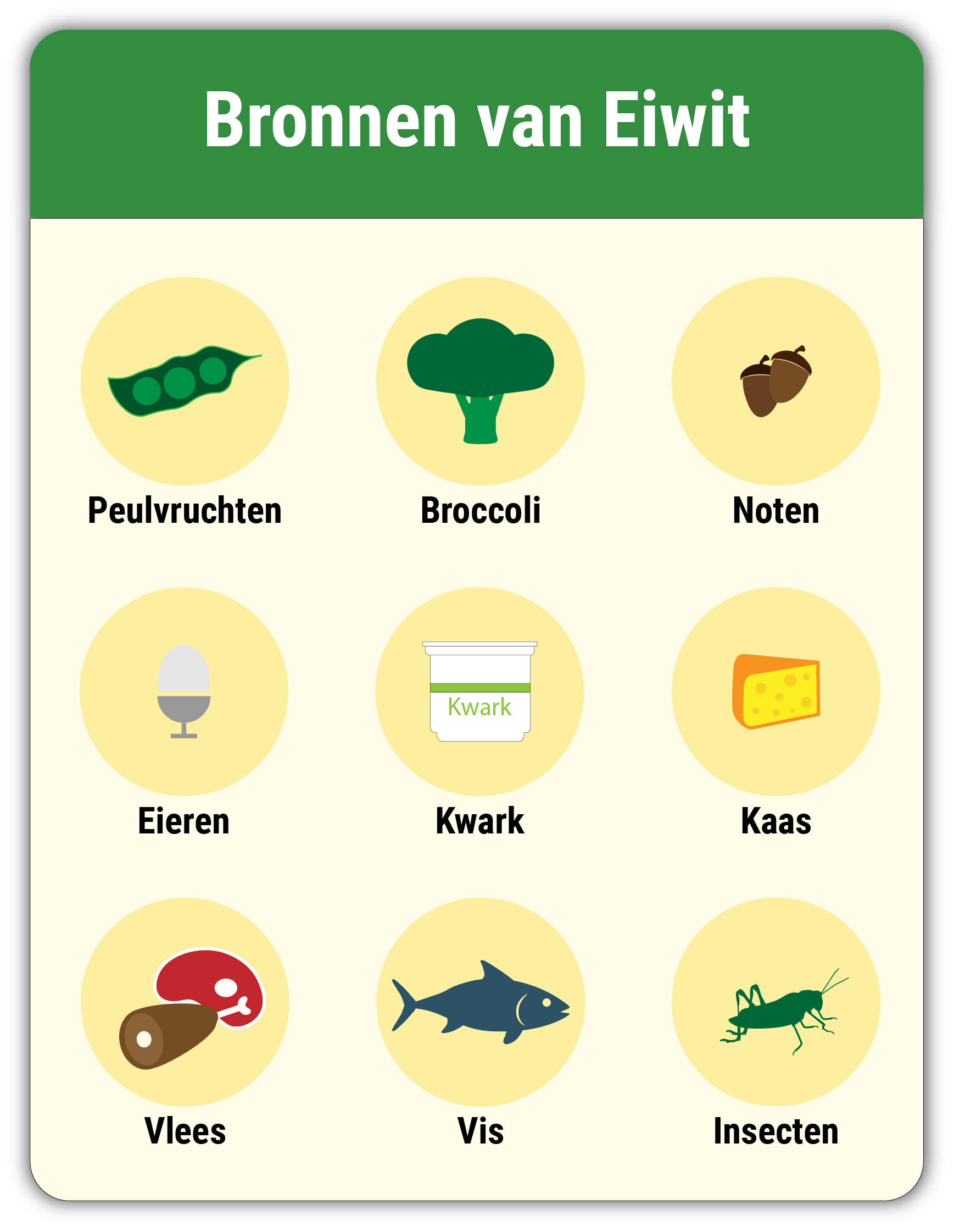 Is het eten van veel eiwitten schadelijk voor de nieren? 1 Eiwitten bronnen