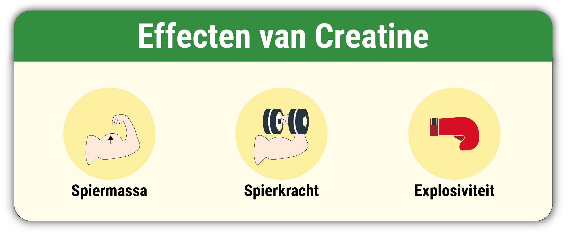 Creatine verbetering sportprestaties