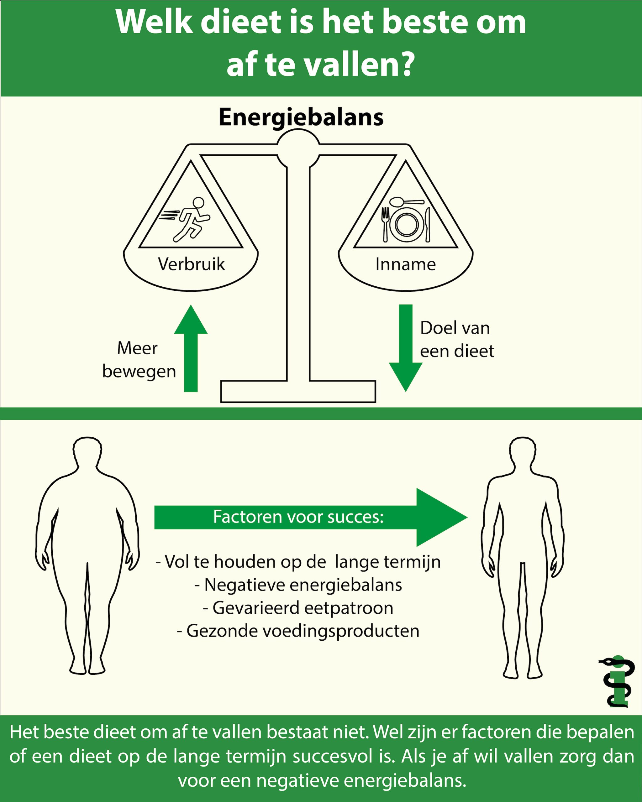 Welk dieet is het beste om af te vallen? 5 Diëten werkzaamheid infographic