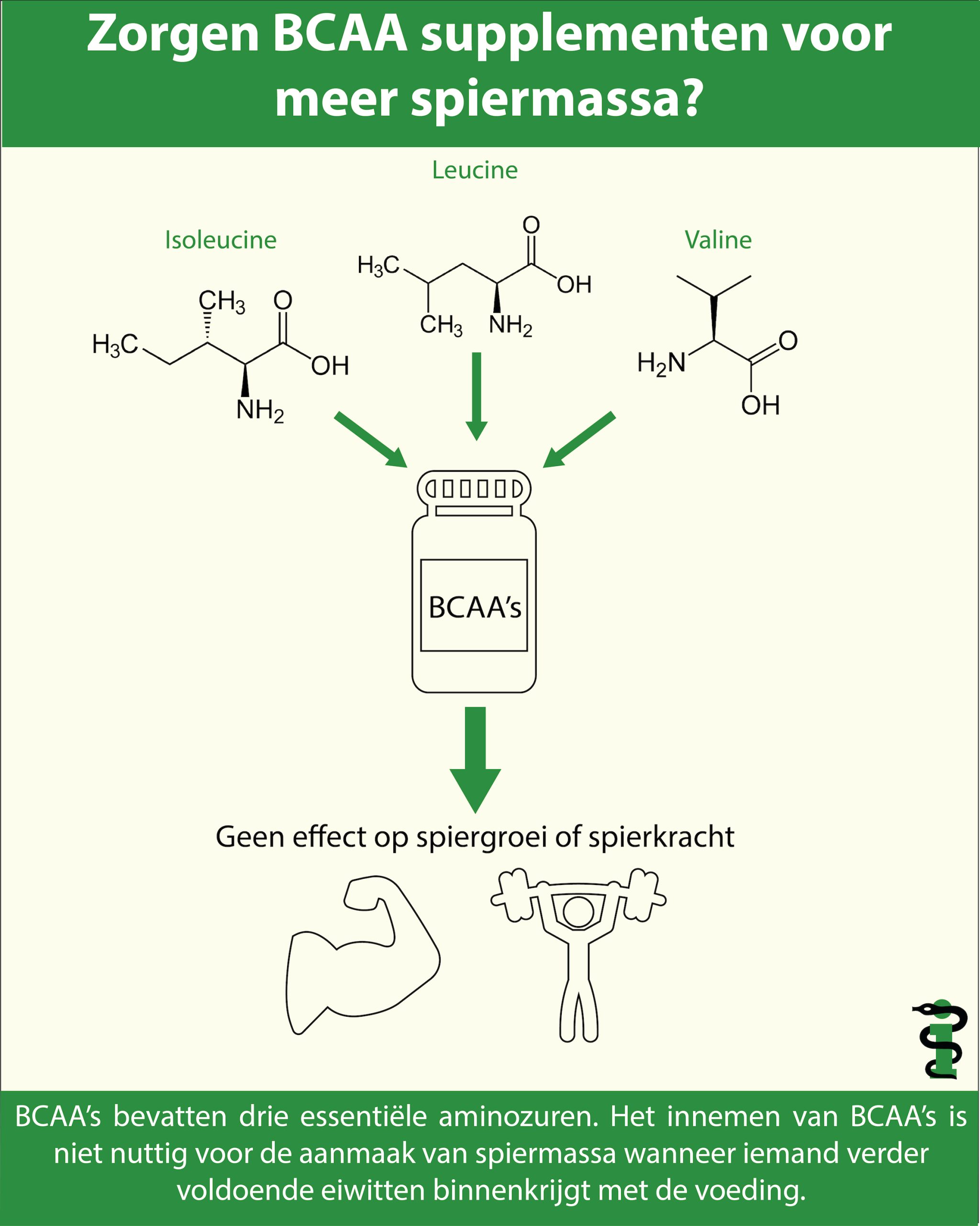 Zorgen BCAA supplementen voor meer spiermassa? 5 BCAA's infographic