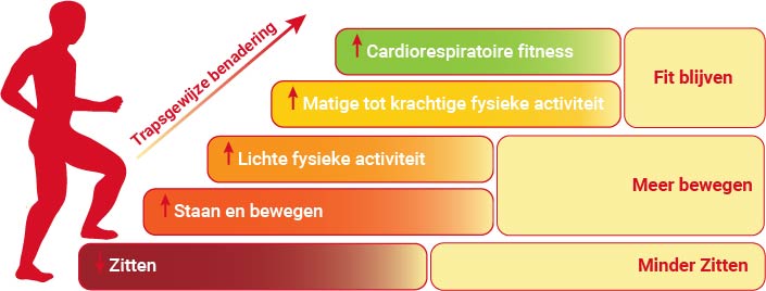 Basisprincipes gezonde leefstijl volhouden
