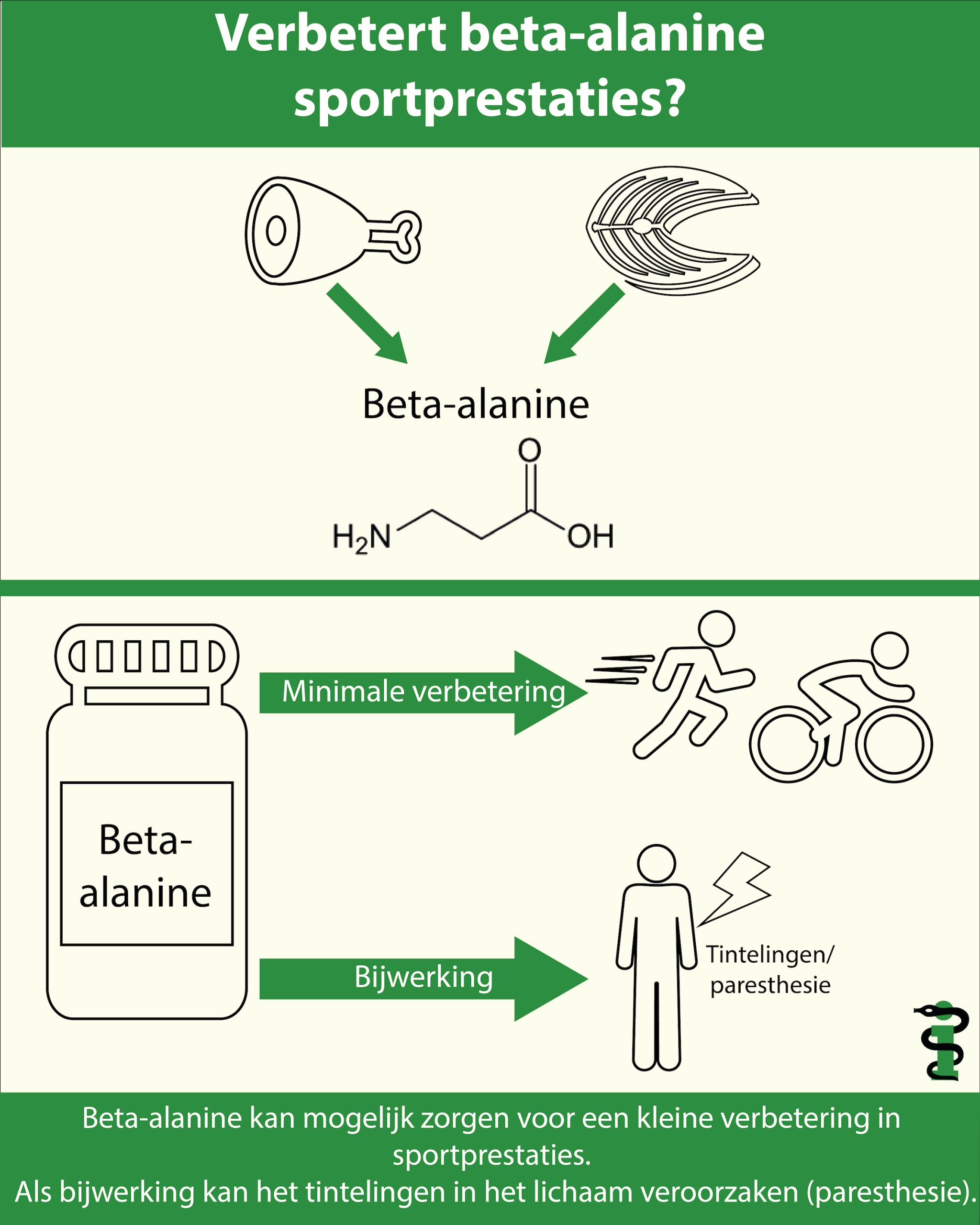 Infographic beta-alanine