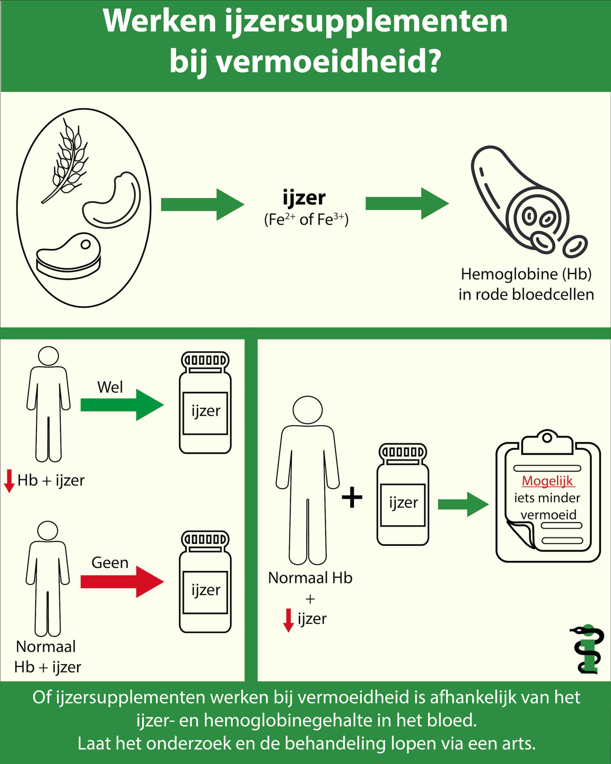 IJzersupplementen infographic