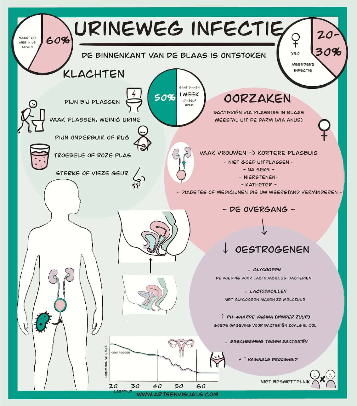 Urineweginfecties oorzaken visual