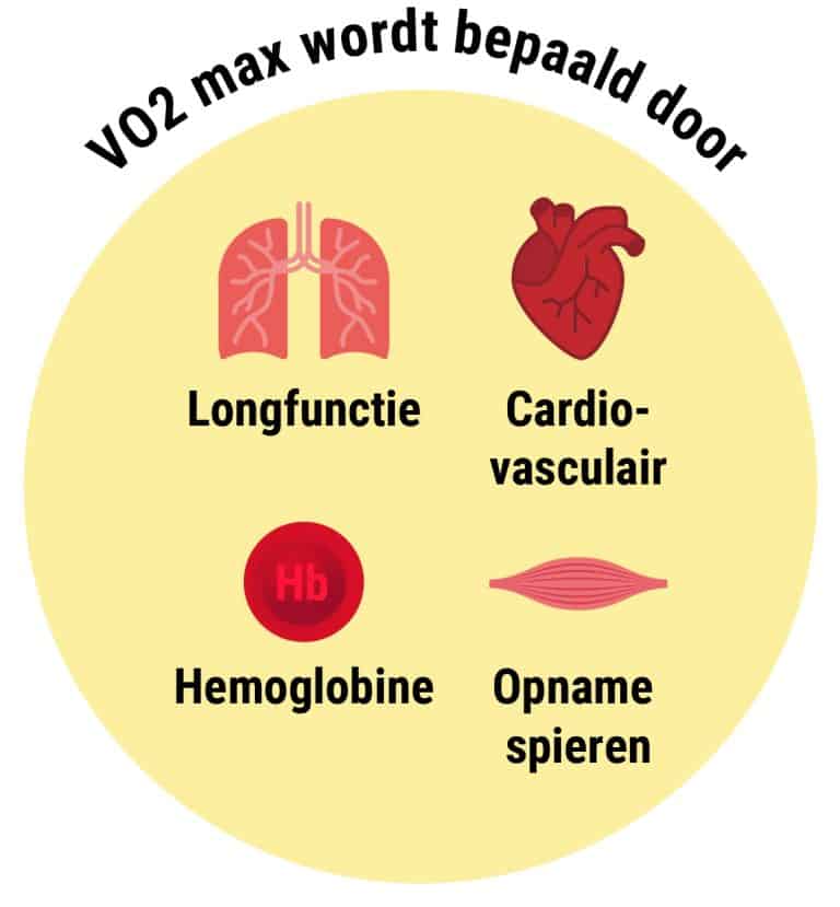 Wat is VO2max?